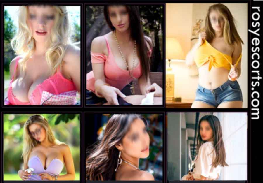 Affordable Escorts in Delhi