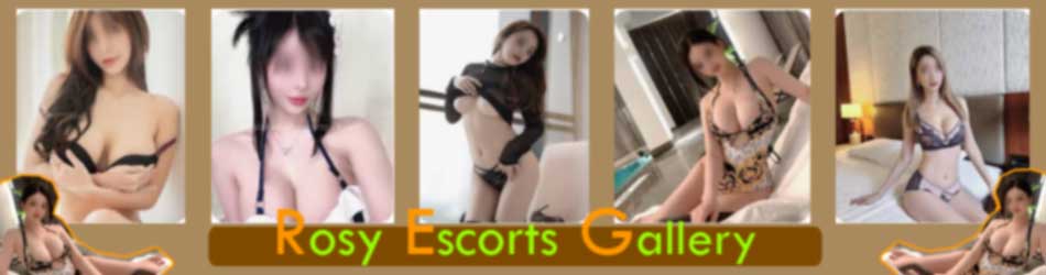 Delhi Escorts service profile 